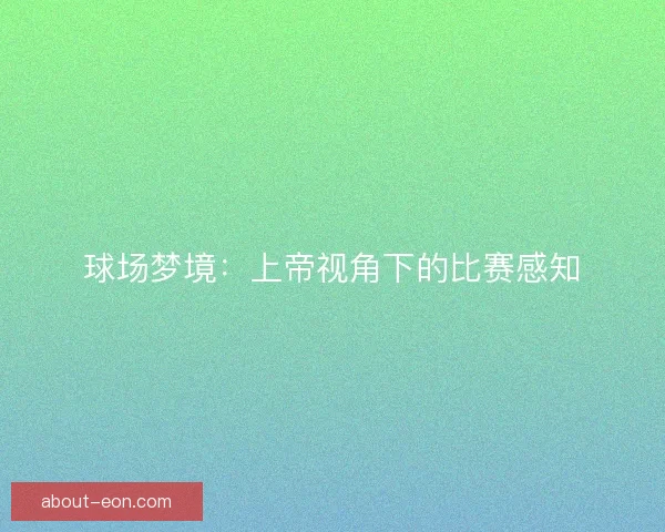球场梦境：上帝视角下的比赛感知